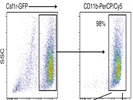 CD11b Antibody Has Efficient Staining and Low Cost