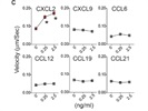 Reliable Quality from R&D Systems' Recombinant Mouse CXCL2