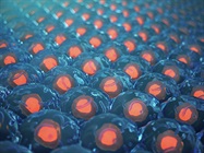 Cell-Based Assays in 2D and 3D
