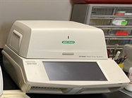 Real Time PCR: Easy to Use