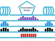 ATAC-seqNext Generation Insights