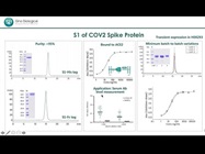Atlas of the SARS-CoV-2 Proteome