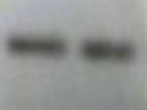 Great p27 Antibody