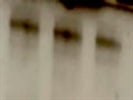 Nice Bax (D2E11) Rabbit mAb for Western Blot