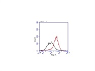 Good Flow Antibody