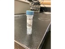 Measuring MKK4 Expression