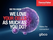Connect with 3D cell culture tools