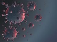 SARS-CoV-2 (Coronavirus) Detection Process