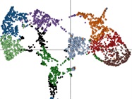 Supercharge Your Tissue Analysis by Combining Immunofluorescence with Spatial Gene Expression