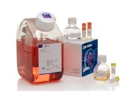 LV-MAX™ Lentiviral Production System