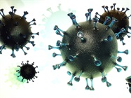 Dismantling SARS-CoV-2, One Analysis at a Time