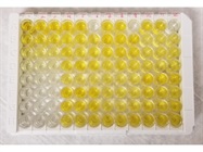 Great Mouse IL-6 ELISA Kit!