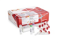 GenElute-E Single Spin DNA and RNA Purification Kits: Free Sample