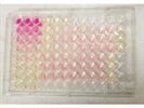 Fast and Sensitive Nitric Oxide Assay