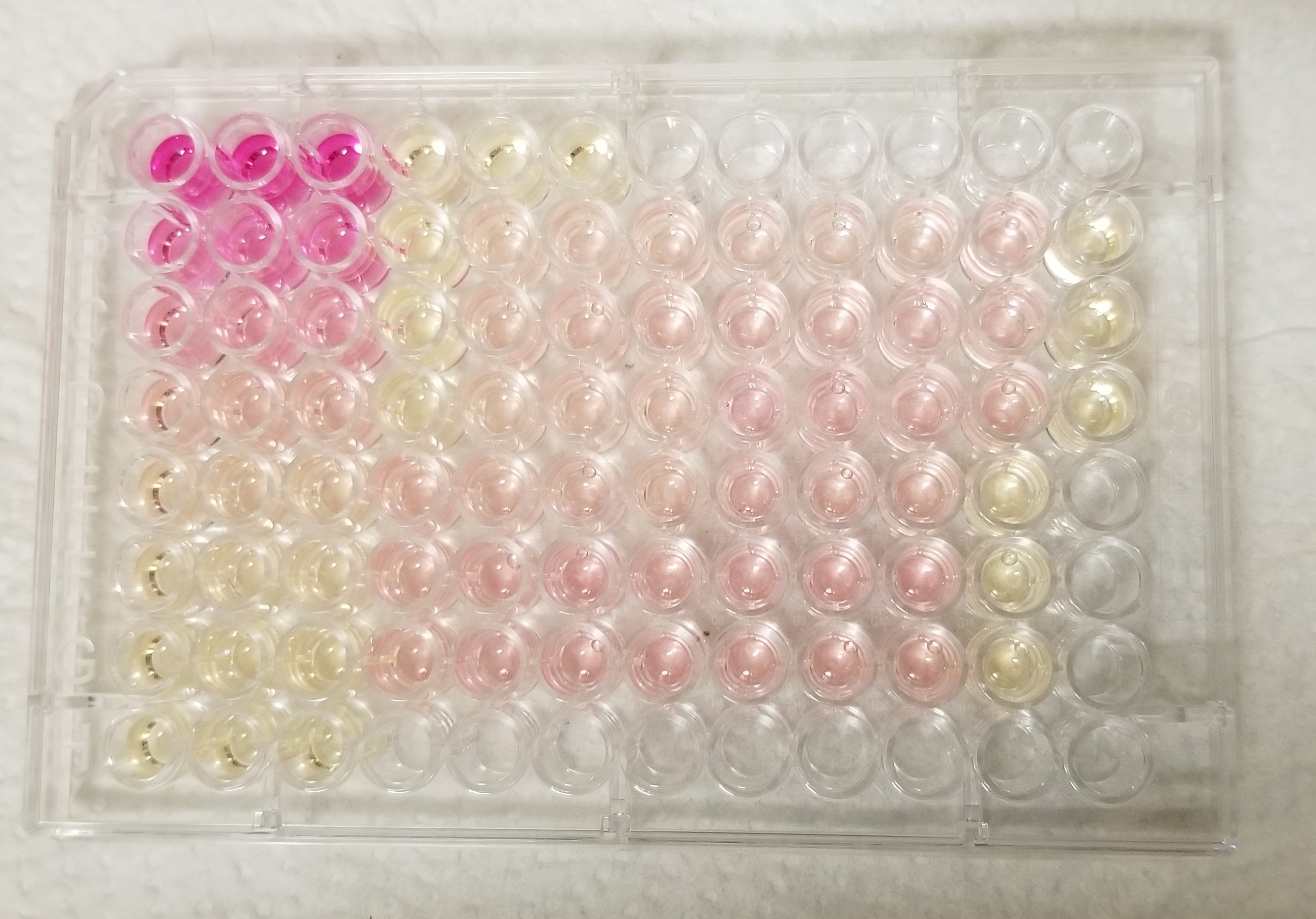 Fast and Sensitive Nitric Oxide Assay Kit/Reagent Review