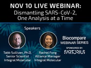 Dismantling SARS-CoV-2, One Analysis at a Time