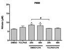 Detection of Total Nitric Oxide in Primary Microglia