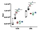 Detection of Total ROS Level in Primary Microglia