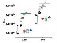 Detection of Total ROS Level in Primary Microglia