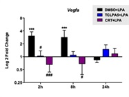 Great for Measuring Expression of Vegfa in Primary Microglia
