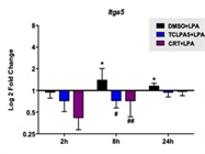 Measuring Integrin a5 in Primary Microglia