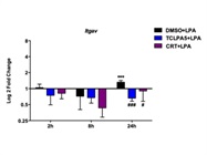 Expression of Integrin Av in Primary Microglia