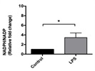 Detection of NADPH/NADP Ratio in BV2 Microglia Cells