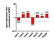 Effect of Acute Inflammation on LPAR1 Expression