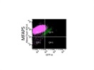 MFAP5 Expression in Skin Fibroblasts