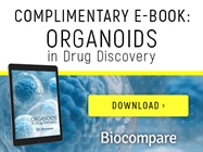 Organoids in Drug Discovery