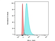 Diacylglycerol (DAG) Antibody -FACS