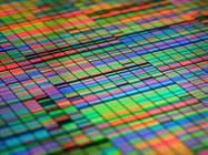 Prioritizing Sample Prep Helps Ensure Successful RNA-Seq