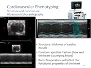 High Resolution Ultrasound Imaging System
