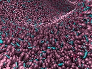 Importance of Microbiome in Drug Discovery Growing