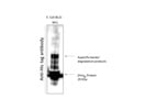 Purified anti-6-His Epitope Tag Antibody Works Well