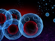 Extracting Maximum Data from Extracellular Vesicle Studies