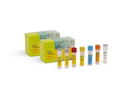 Reliance Select cDNA Synthesis Kit