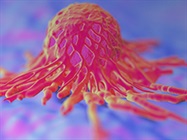 Application Note: Characterization of the Tumor Microenvironment