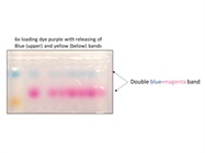 Gel Loading Dye Purple 6x for DNA Electrophoresis