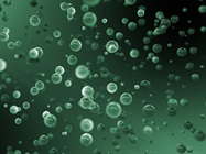 Isolating Exosomes for Multiple Applications