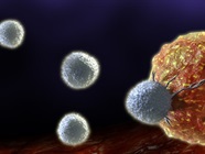 A Guide to T Cell Markers
