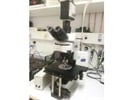 Upright Microscope for Brightfield/Fluorescence Imaging