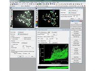 Metamorph Software Is Useful
