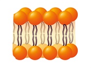 Screening Ion Channels for Roles in Disease