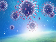 Rapid, Automated Nucleic Acid-to-Variant Report Solution for SARS-CoV-2 Epidemiology Applications