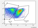 Great Way to Gate Out the Thy1.1 and Thy1.2 Cells