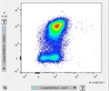 Great Way to Look at CD27 Expression on CD8s