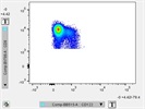 Memory Marker on CD8