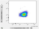 Low Detection of Perforin on My cells of Interest