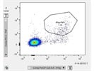 Great TNFa Signal on Flow Cytometry
